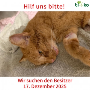 598788838_1231517225566296_2194400073363374710_n