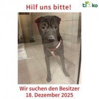 thumb_600347816_1232231432161542_1506240300483003369_n