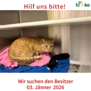 608633088_1243589044359114_9030357642265844931_n