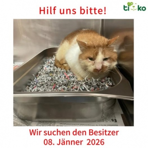 611729376_1247197080664977_3893809492423554664_n