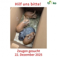 thumb_603749911_1235290651855620_5363778303163119603_n