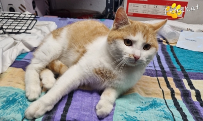 4101-1768146192-90571000 4101-1768146192-90571000