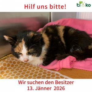 615416652_1250651353652883_5080042351944281023_n 615416652_1250651353652883_5080042351944281023_n