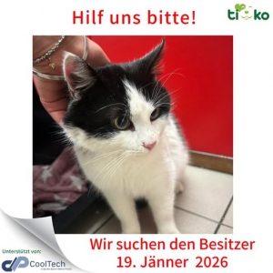 616841714_1255196043198414_6379862395588303401_n