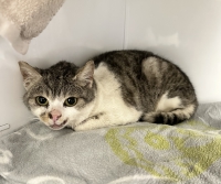 thumb_Albert thumb_Albert