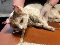 thumb_626050429_34598542886411226_6444696538171120514_n