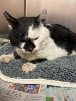 thumb_627937067_34720839460848234_6593794047972784447_n thumb_627937067_34720839460848234_6593794047972784447_n