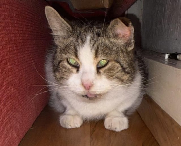 648108550_1383740650459915_2740176491875811385_n