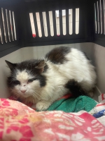 thumb_648143609_35124056970526479_2629457480740093654_n