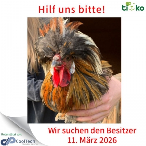 651335290_1296049355779749_2183336369033516811_n 651335290_1296049355779749_2183336369033516811_n