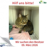 thumb_648638342_1294659839252034_2866886915208815324_n thumb_648638342_1294659839252034_2866886915208815324_n