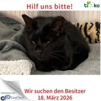 thumb_653351615_1301628811888470_7932395235387819756_n thumb_653351615_1301628811888470_7932395235387819756_n