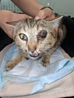 thumb_657908401_1399331795567467_4882107904481908166_n