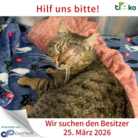 thumb_658863018_1307109041340447_4884837346651599938_n thumb_658863018_1307109041340447_4884837346651599938_n