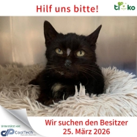 thumb_656590983_1307110334673651_4265740434381390051_n thumb_656590983_1307110334673651_4265740434381390051_n