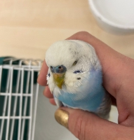 thumb_657540086_35522155550716617_6879729873071976782_n