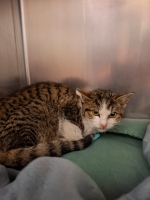 thumb_658919665_35522155480716624_8078446528172470837_n thumb_658919665_35522155480716624_8078446528172470837_n