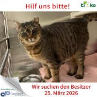 thumb_658142717_1307316194653065_4737269923562735593_n thumb_658142717_1307316194653065_4737269923562735593_n