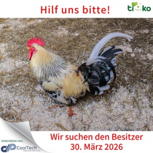 657711064_1311198590931492_657813682695731863_n 657711064_1311198590931492_657813682695731863_n