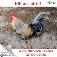 thumb_657711064_1311198590931492_657813682695731863_n thumb_657711064_1311198590931492_657813682695731863_n