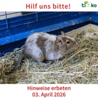 thumb_661875423_1314449720606379_7350482097856786640_n