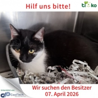 thumb_662676357_1317299430321408_6714470625504580336_n