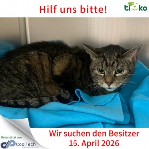 670749676_1324116612973023_865057048532978242_n