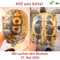 thumb_707875918_1357133906337960_5185664335499168231_n