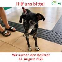 thumb_775065086_1373249721001489_5179932335906341170_n
